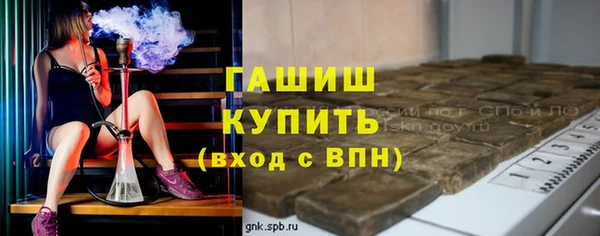 крисы Мегион