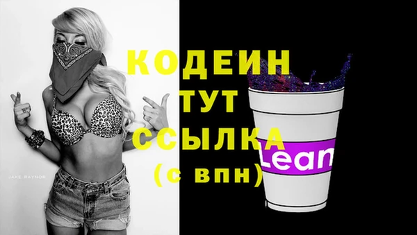 крисы Мегион