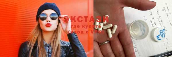 крисы Мегион
