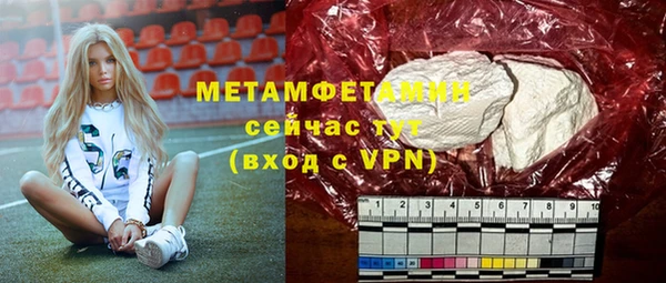 крисы Мегион