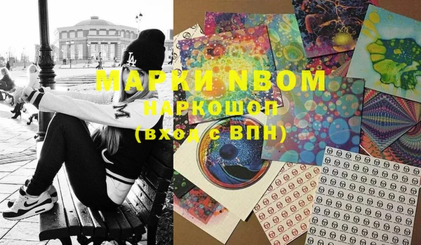крисы Мегион