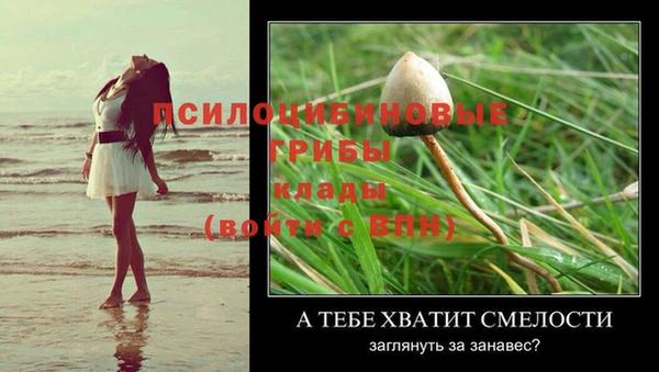 крисы Мегион