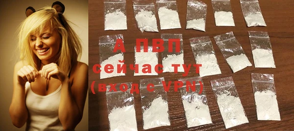 крисы Мегион