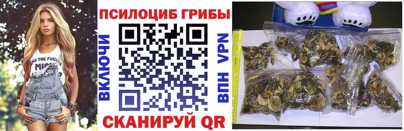 Купить закладки  Аргун  Галлюциногенные грибы Cubensis 